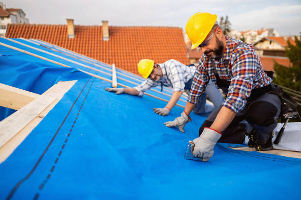 Professional Roofing in St Martin, MS